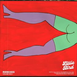 Cover of Little Bird (OIEE Remix Radio Edit)