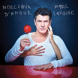 Cover of Best Of - Morceaux d’amour