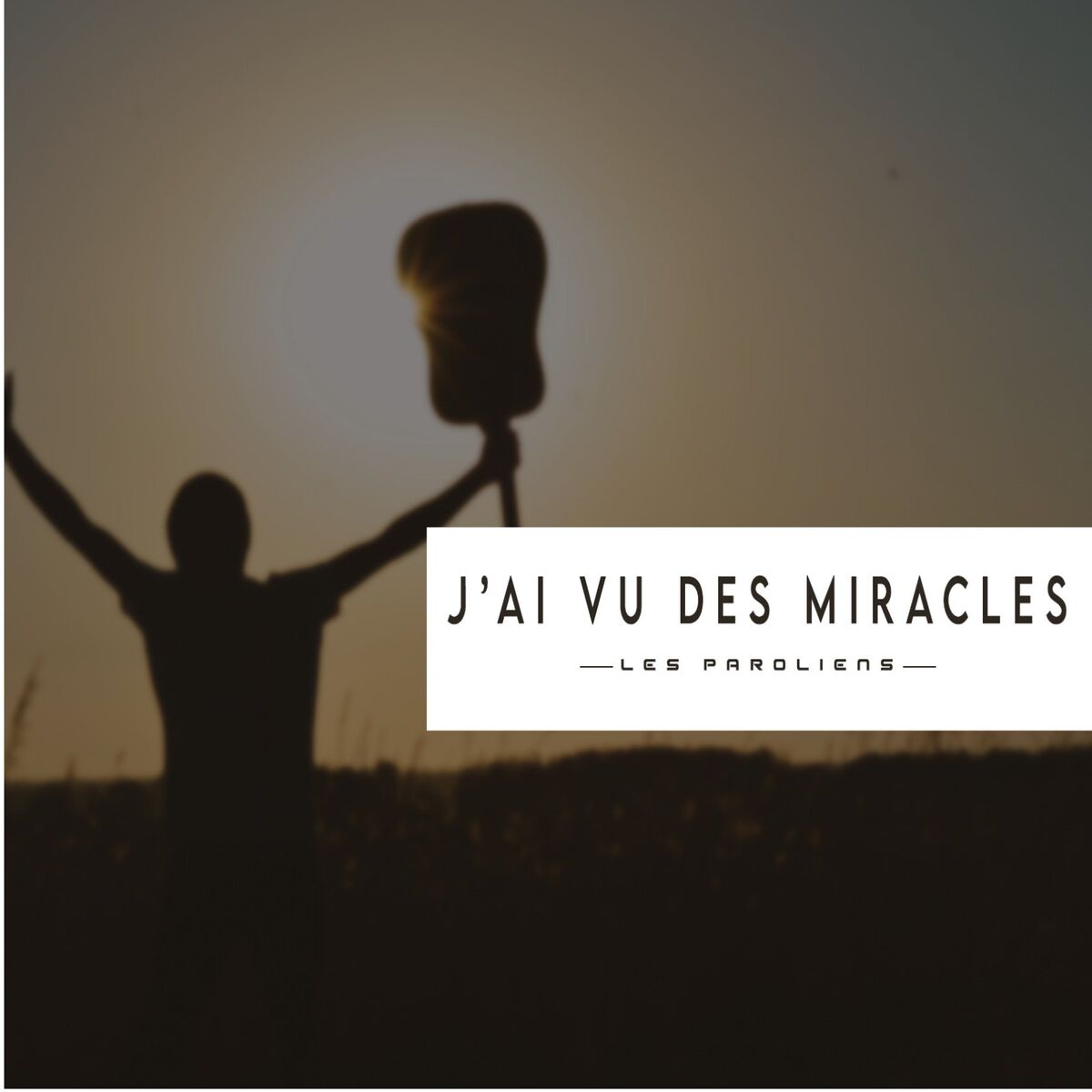Album cover of J'ai vu des miracles