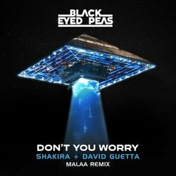 Cover of DON'T YOU WORRY (feat. Shakira) (Malaa Remix)