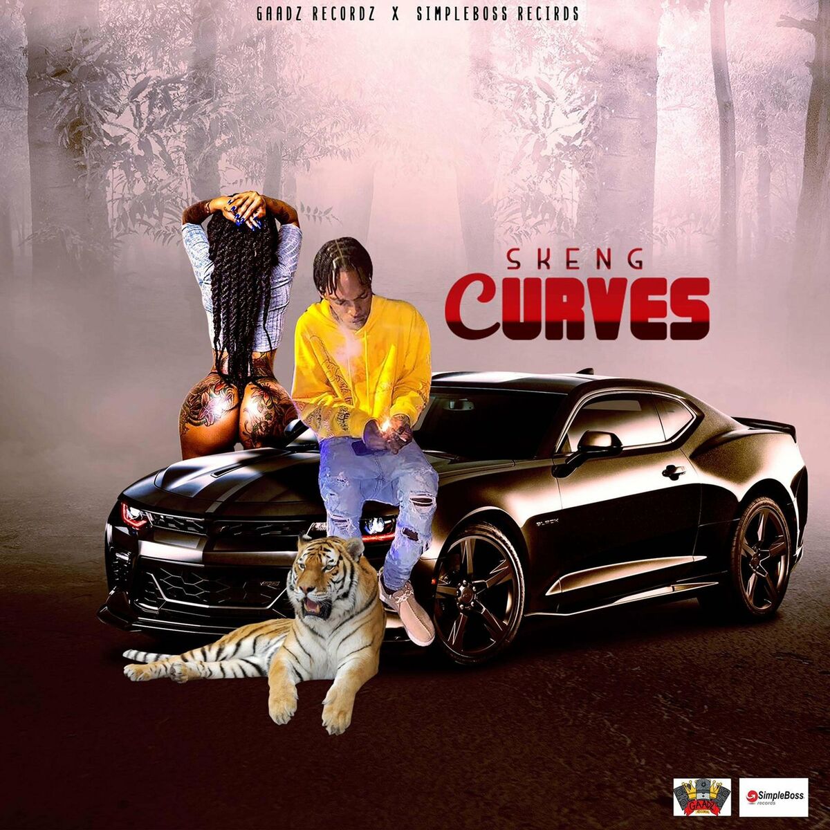 Album cover of Curves