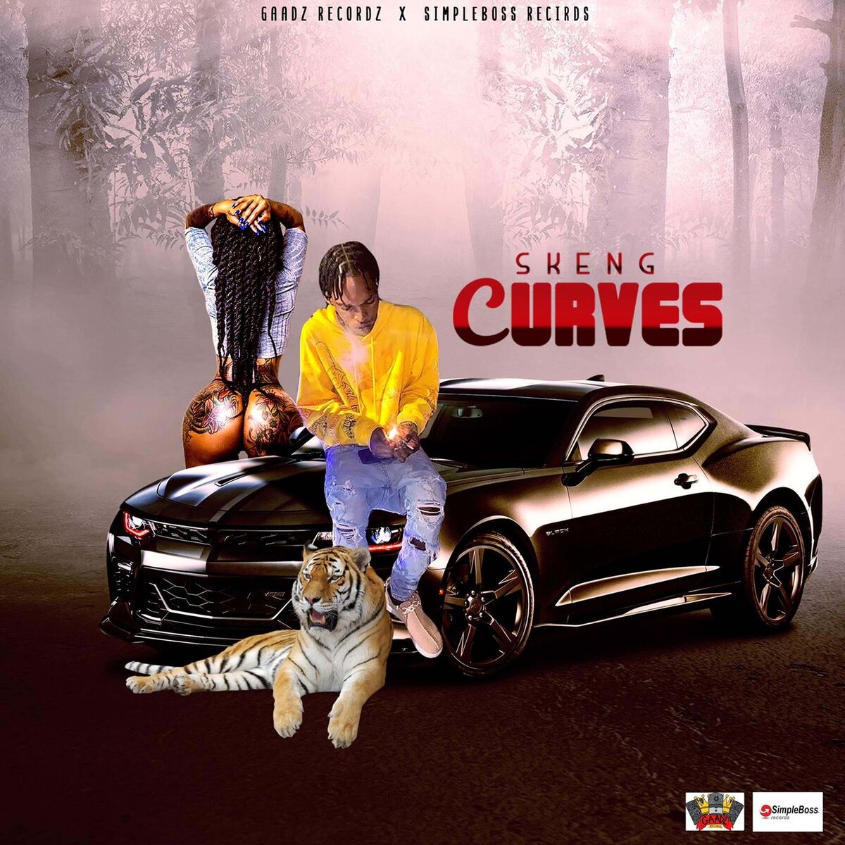 Album picture of Curves