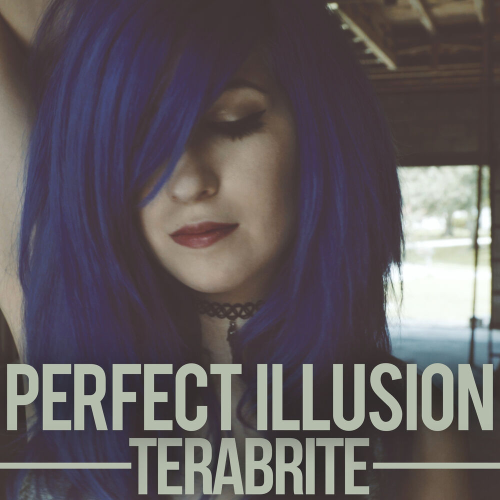 Picture of Perfect Illusion