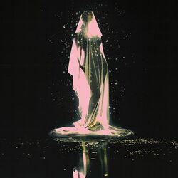 Cover of Moth