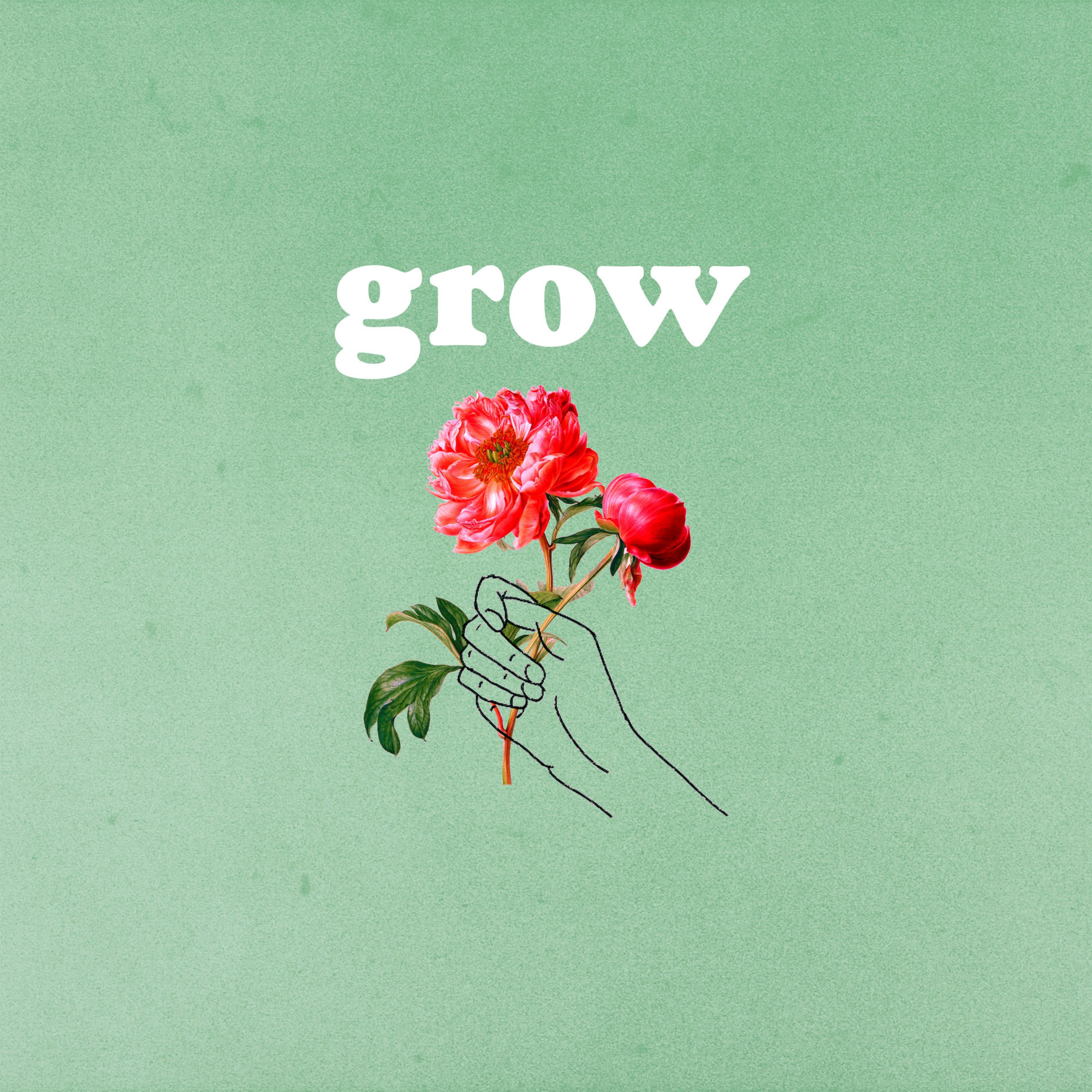 Album cover of Grow