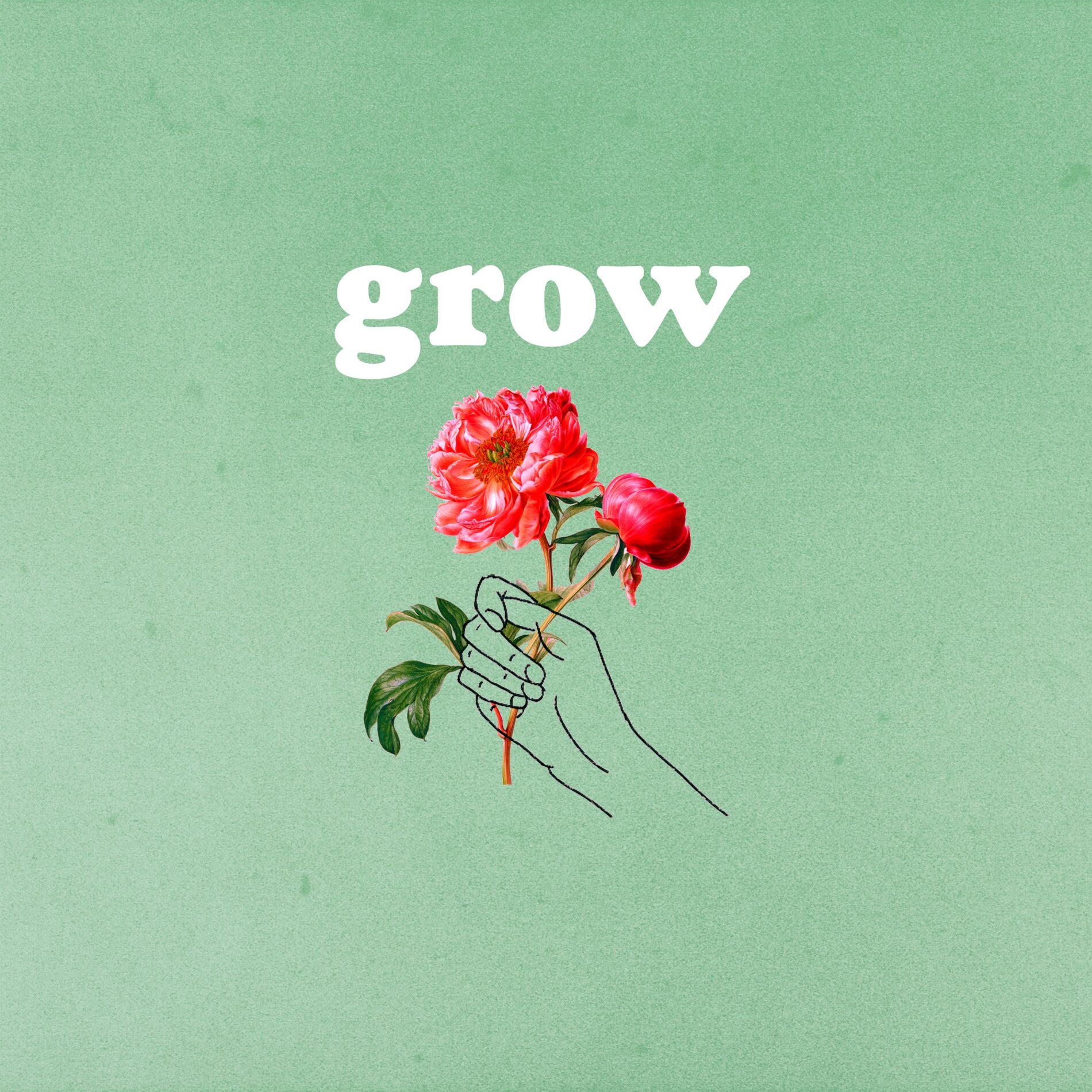 Album cover of Grow