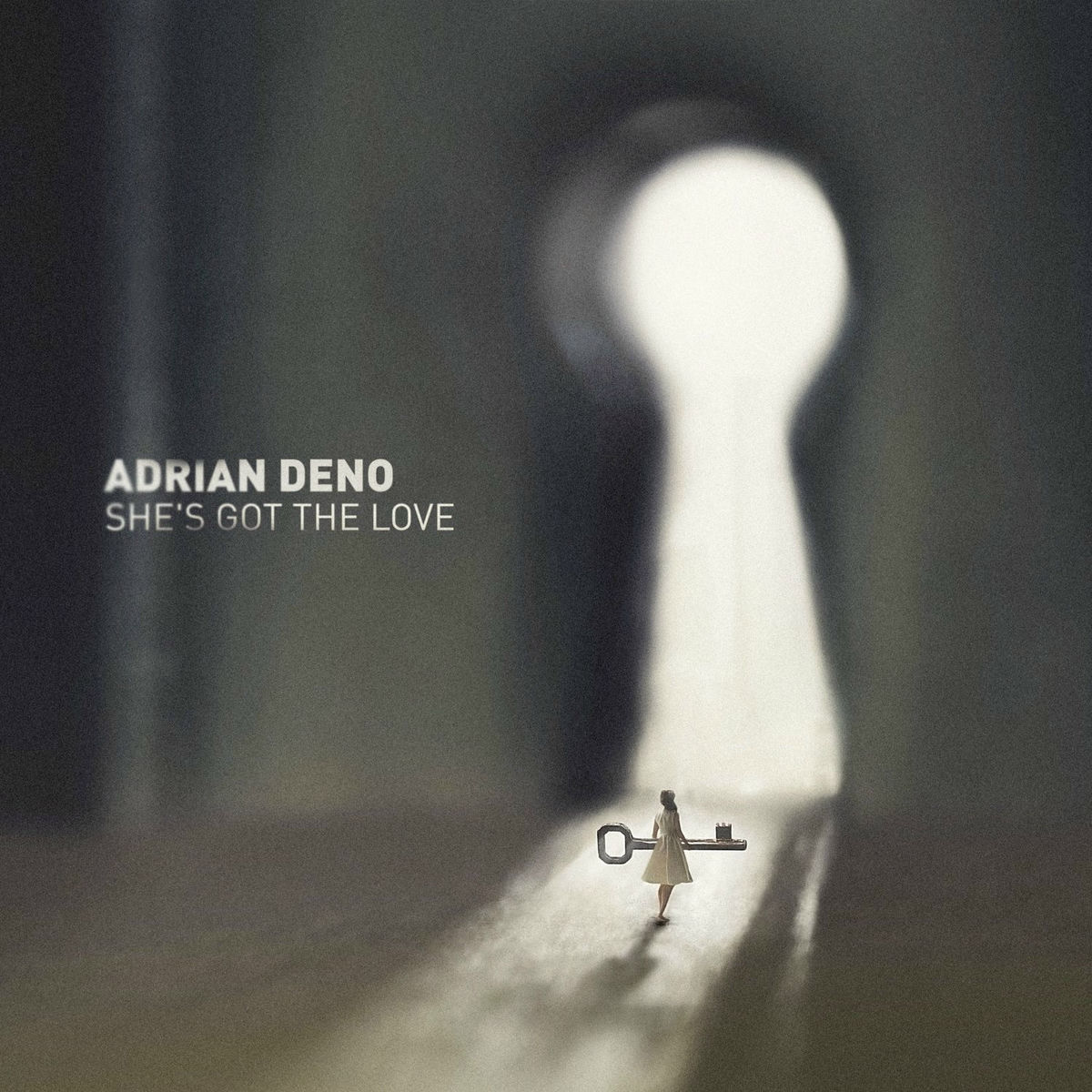 Album cover of She's Got the Love