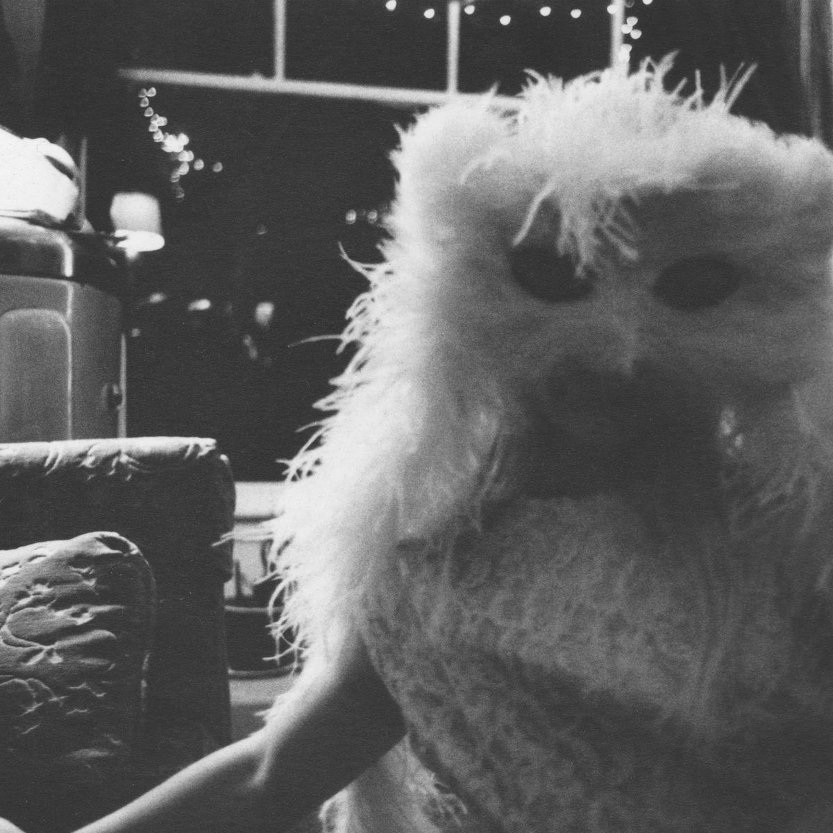 Album cover of The Glory of Fruit Bats