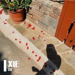 Cover of XIE