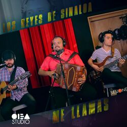 Cover of Me llamas (Live)