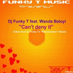 Cover of Can't Deny It