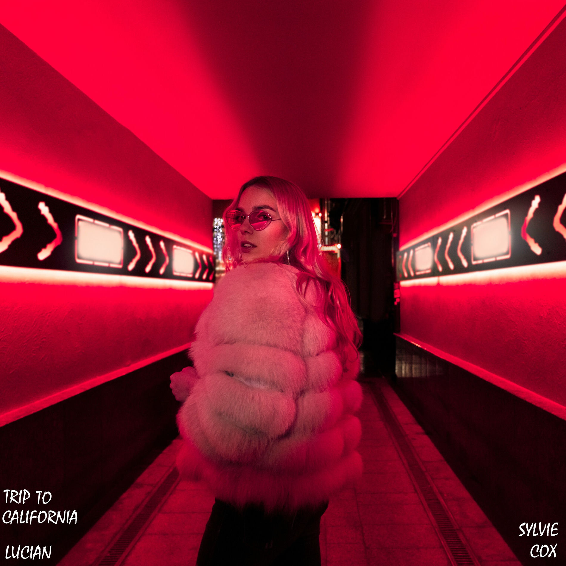 Album cover of Trip to California