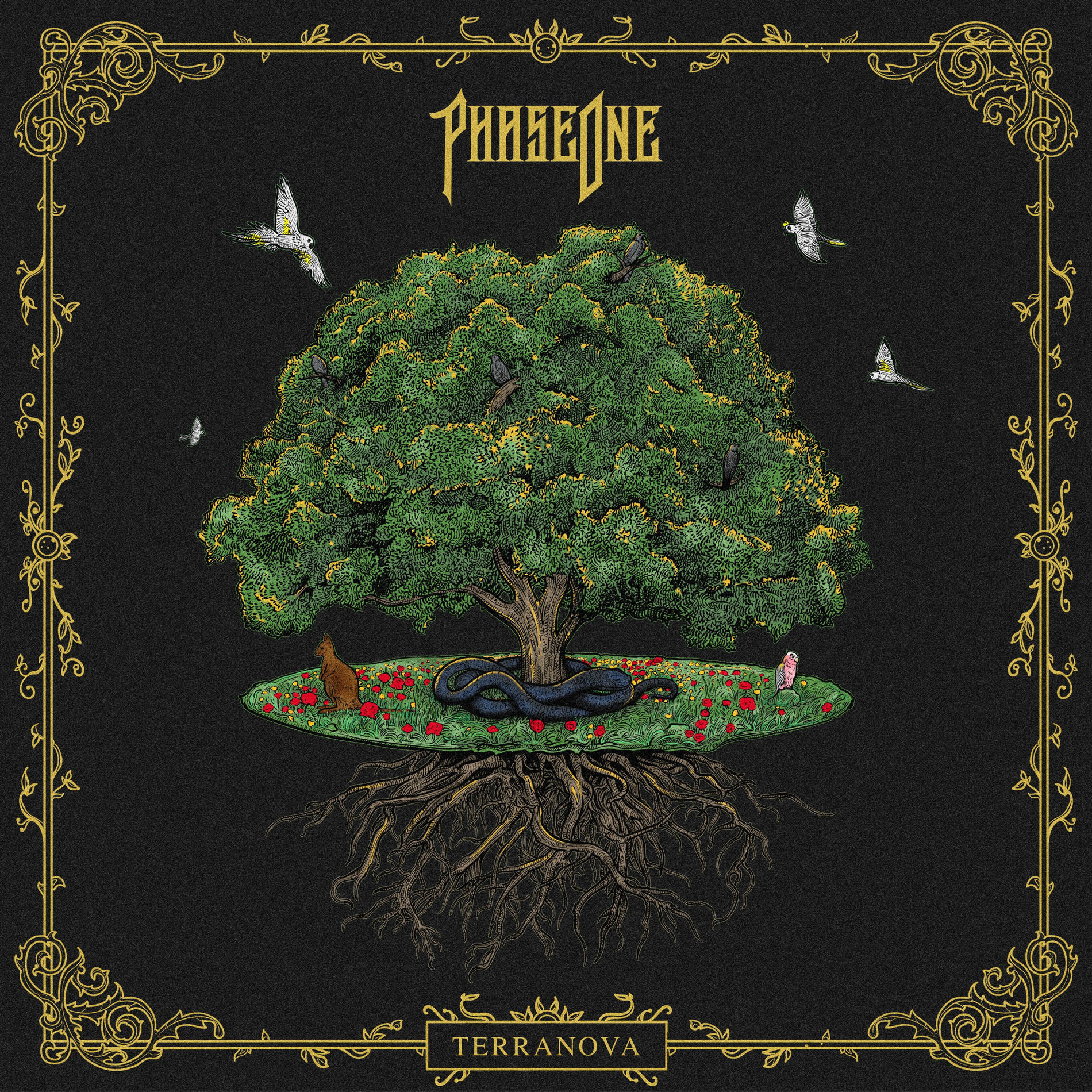 Album cover of TERRANOVA