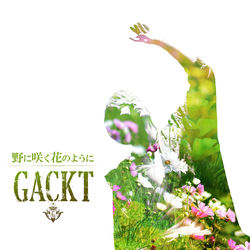 NONISAKU HANA NO YOUNI (feat. K) [LAST SONGS LIVE ver.]