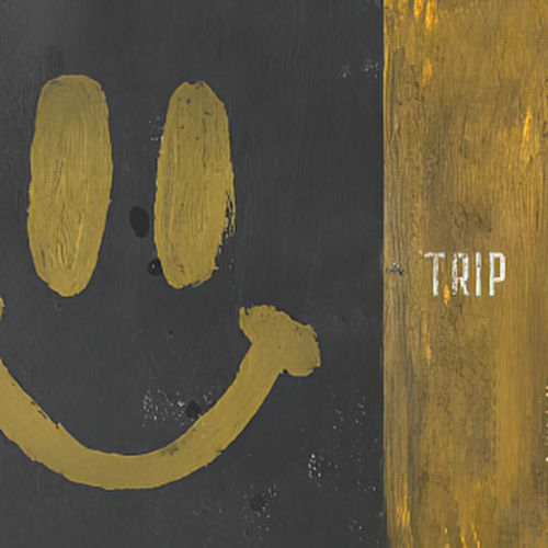 Trip