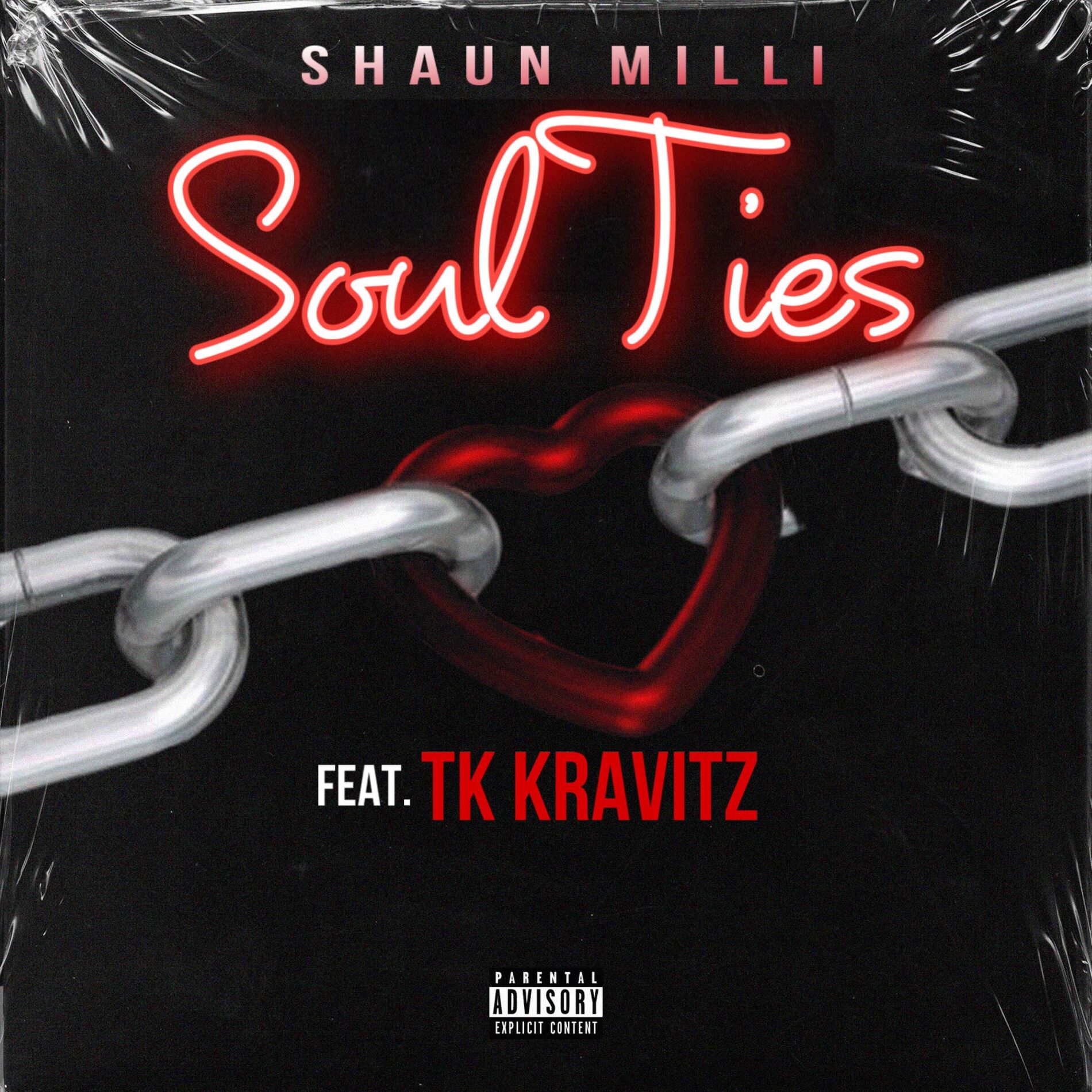 Album cover of Soul Ties (feat. TK Kravitz)