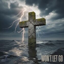 Won't Let Go