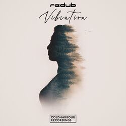 Cover of Vibration