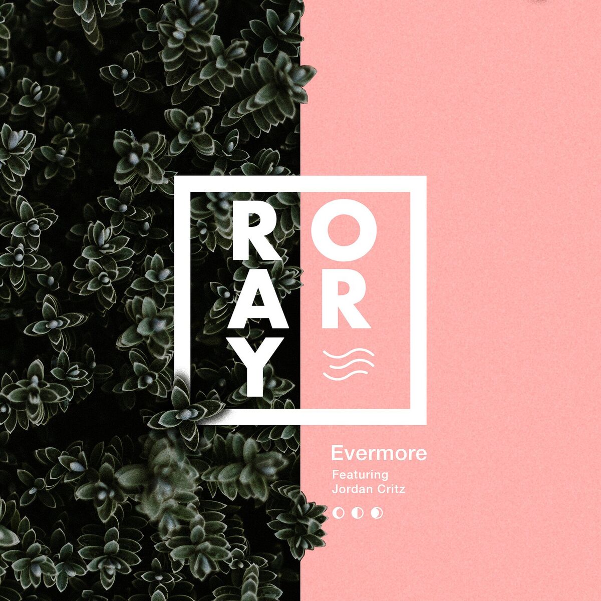 Album cover of Evermore