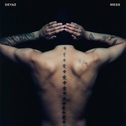 Cover of Mess