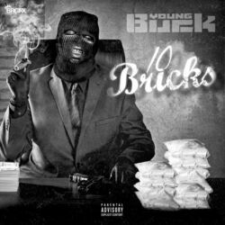 Cover of 10 Bricks