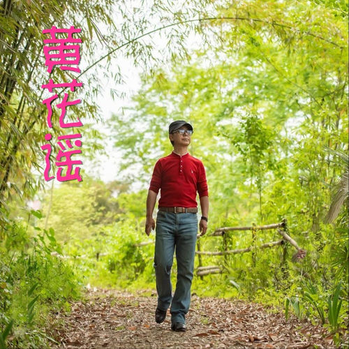 黄花谣