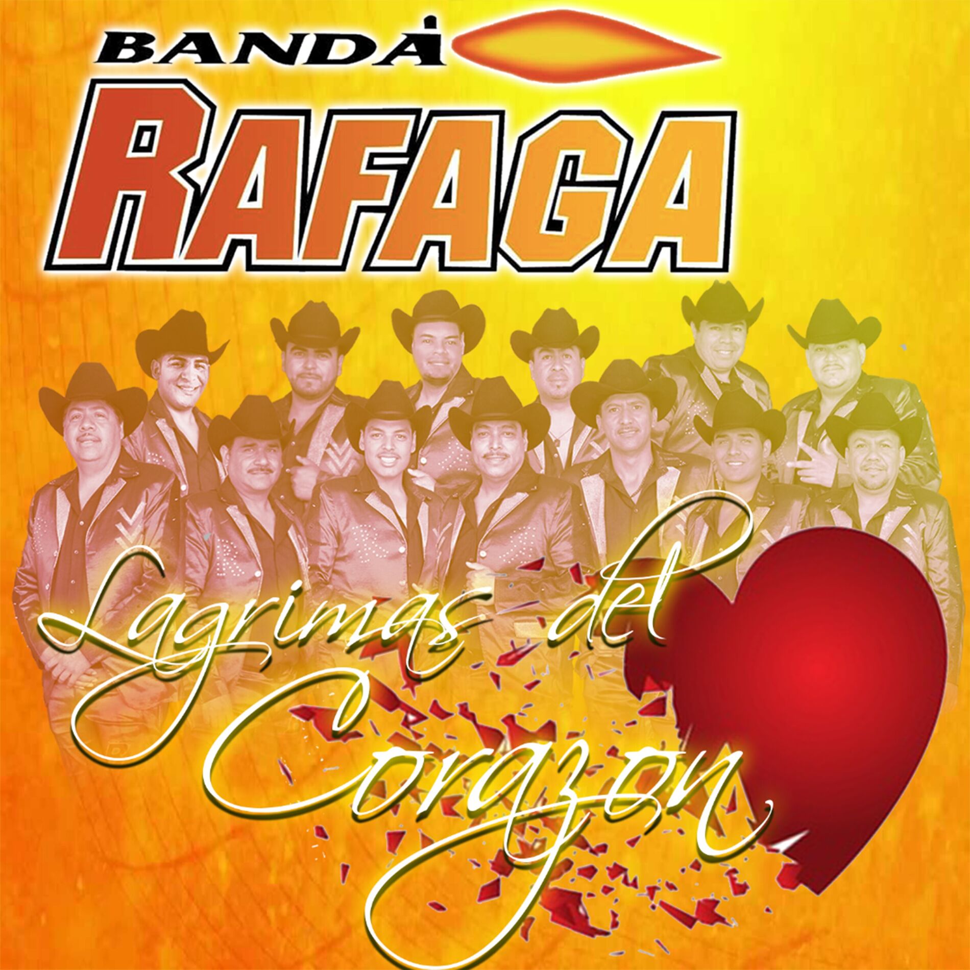 Album cover of Lagrimas Del Corazon