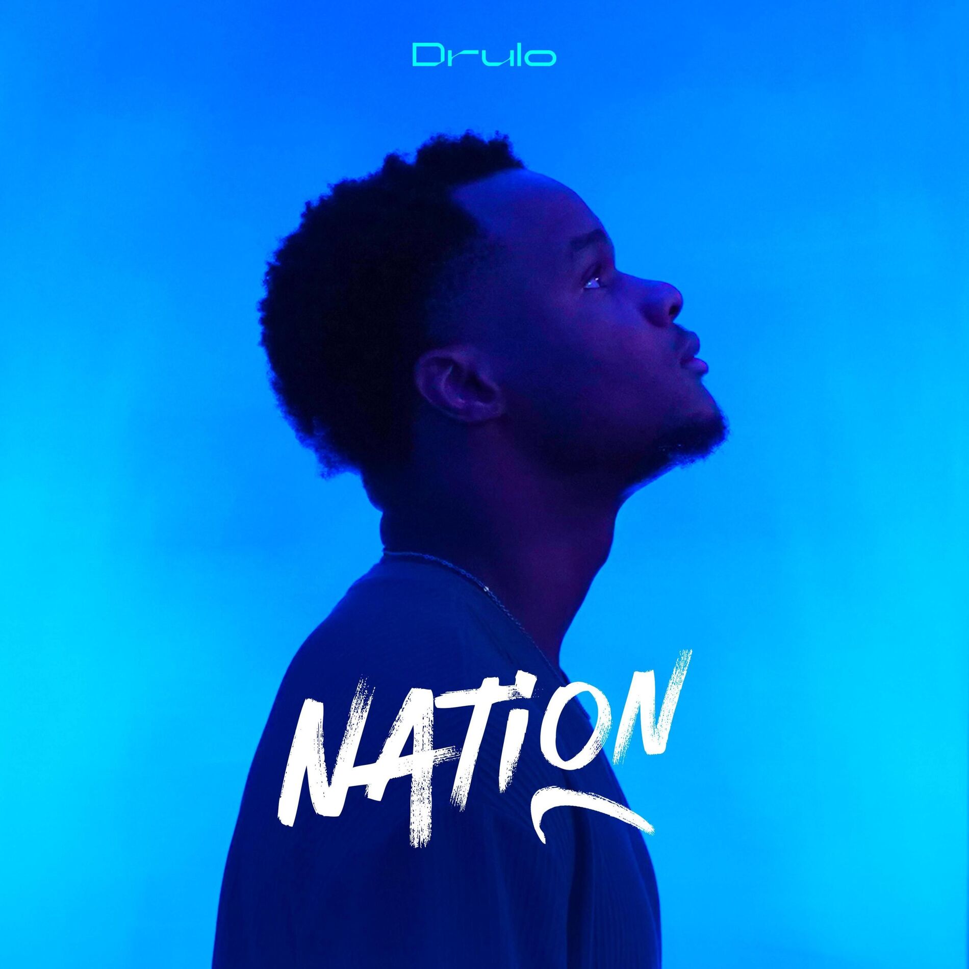 Album cover of Nation