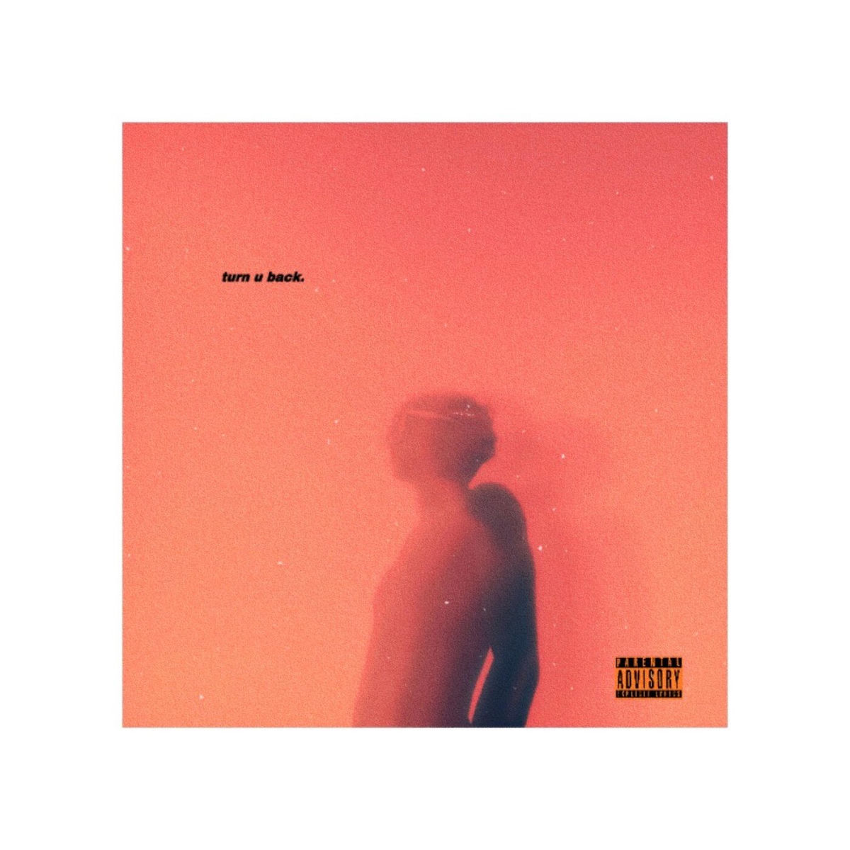 Album cover of turn u back