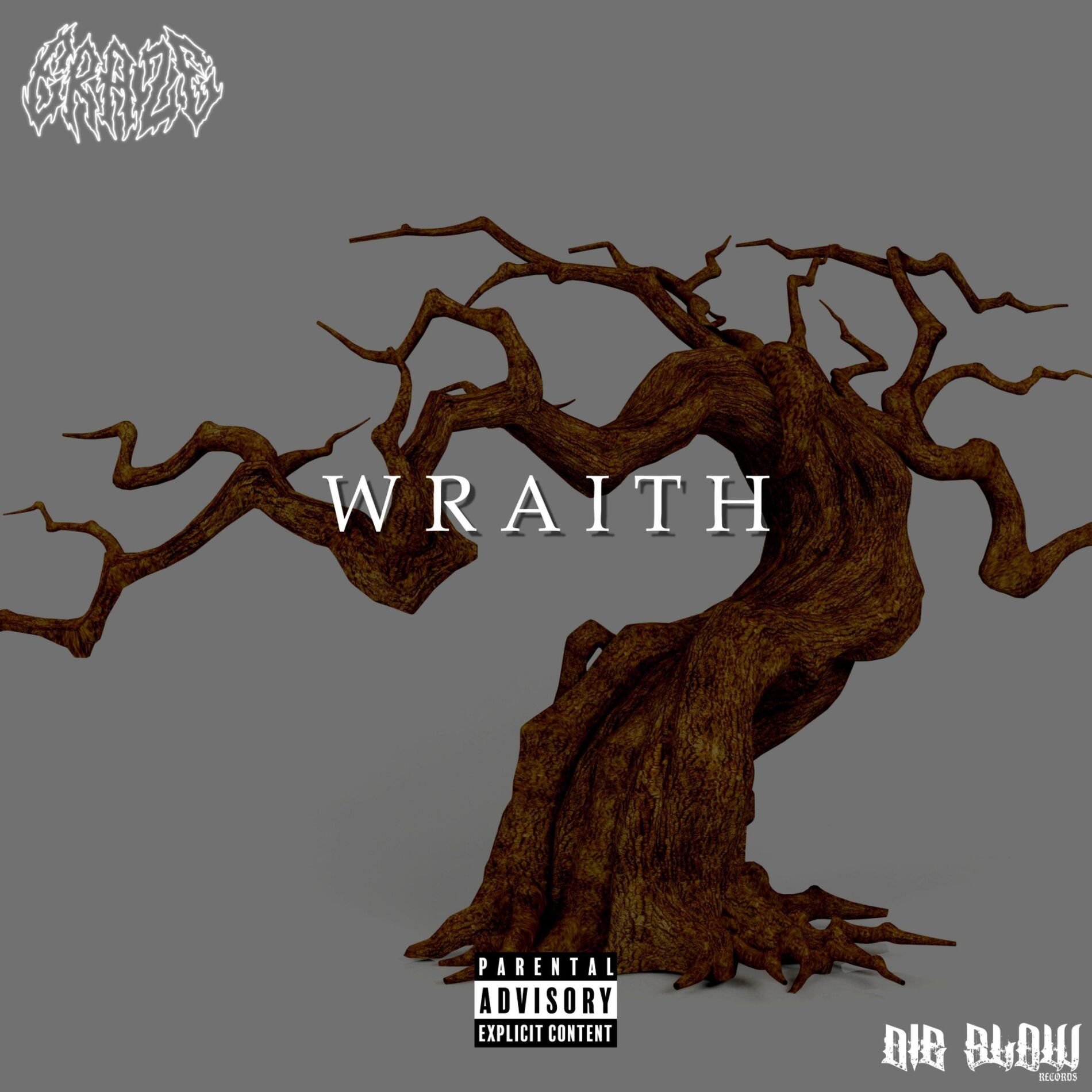Album cover of Wraith