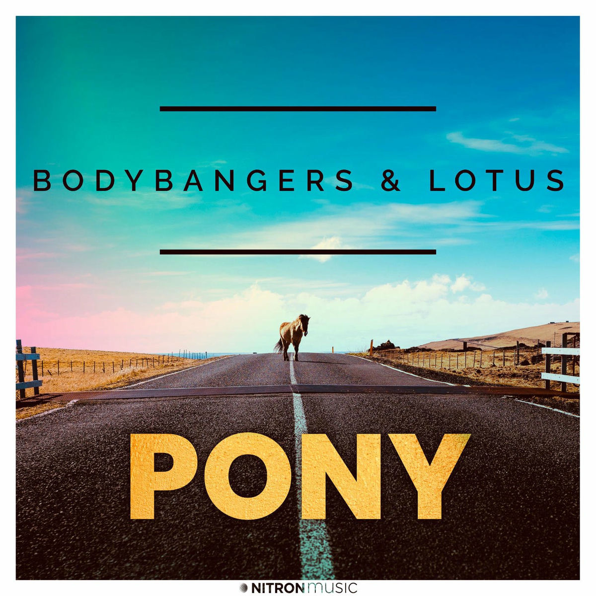 Album cover of Pony
