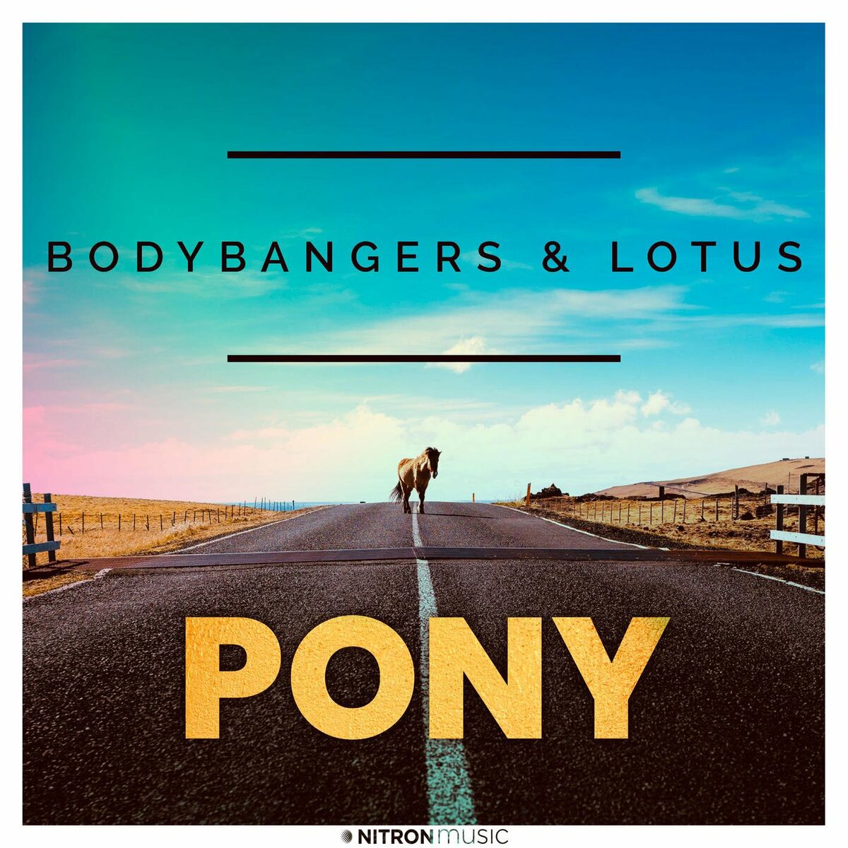 Album cover of Pony