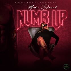Cover of Numb Up