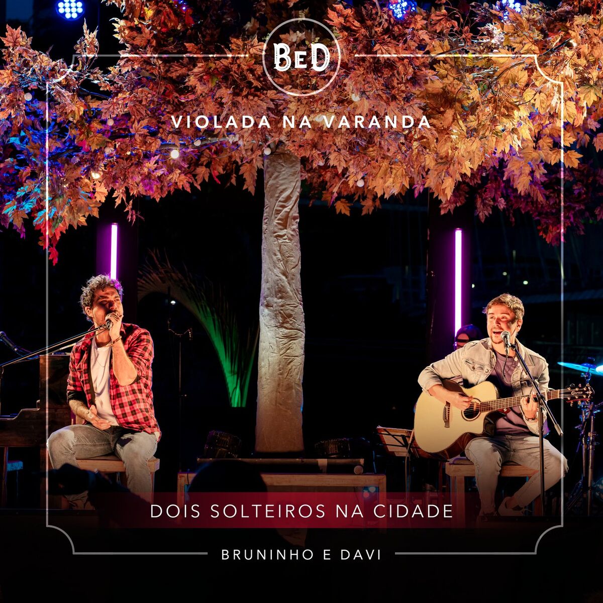 Album cover of Dois Solteiros Na Cidade