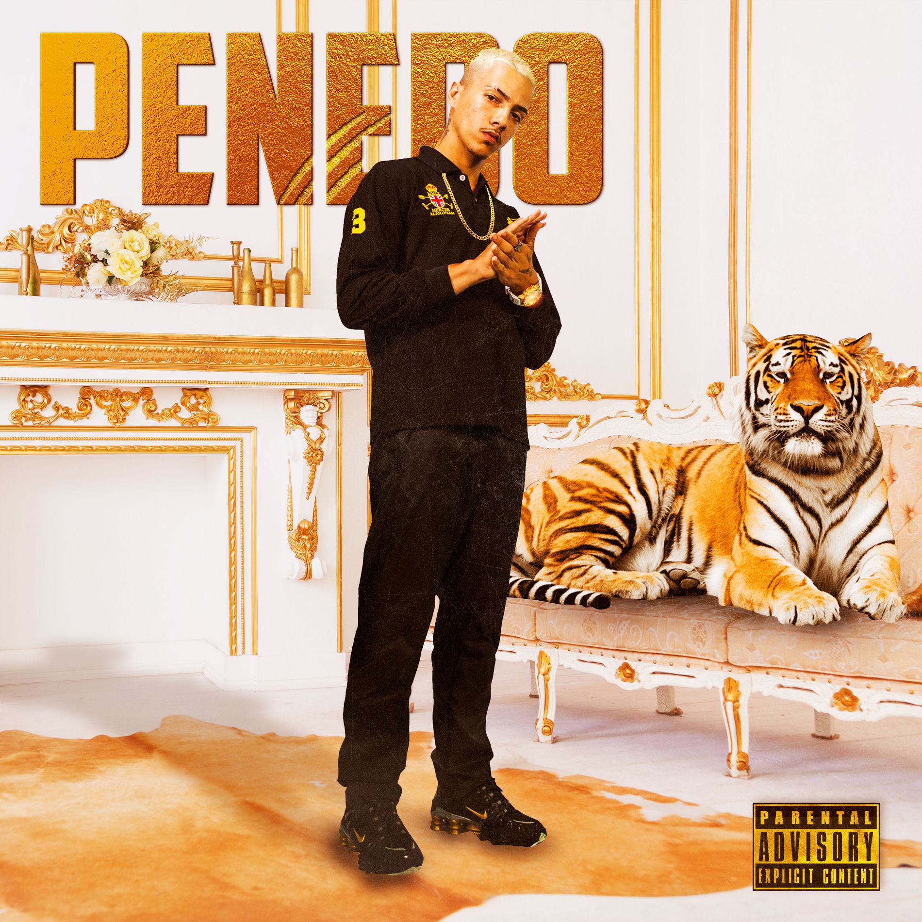 Album cover of Listra de tigre