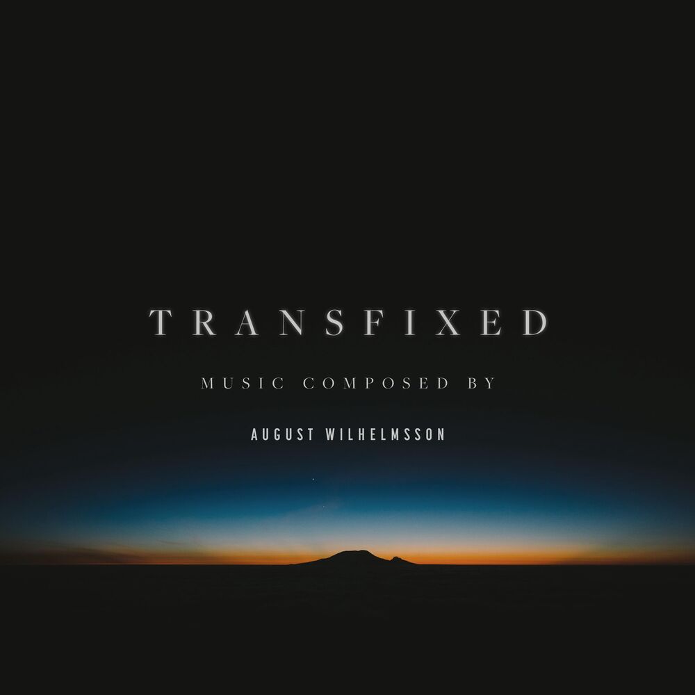 Picture of Transfixed