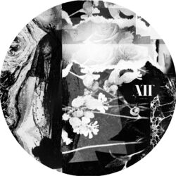 Cover of ATT Split Series Vol. 1