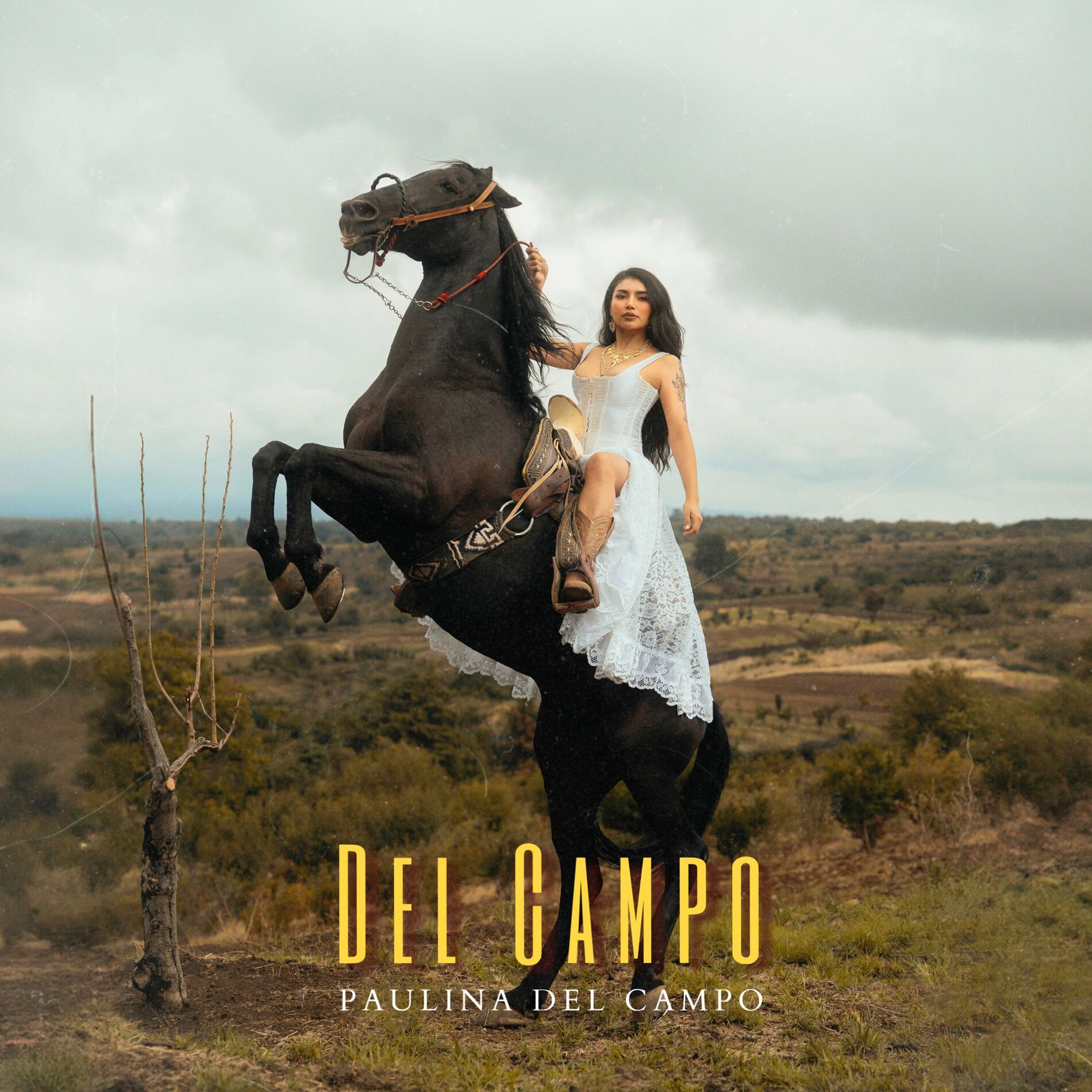 Album cover of Del Campo