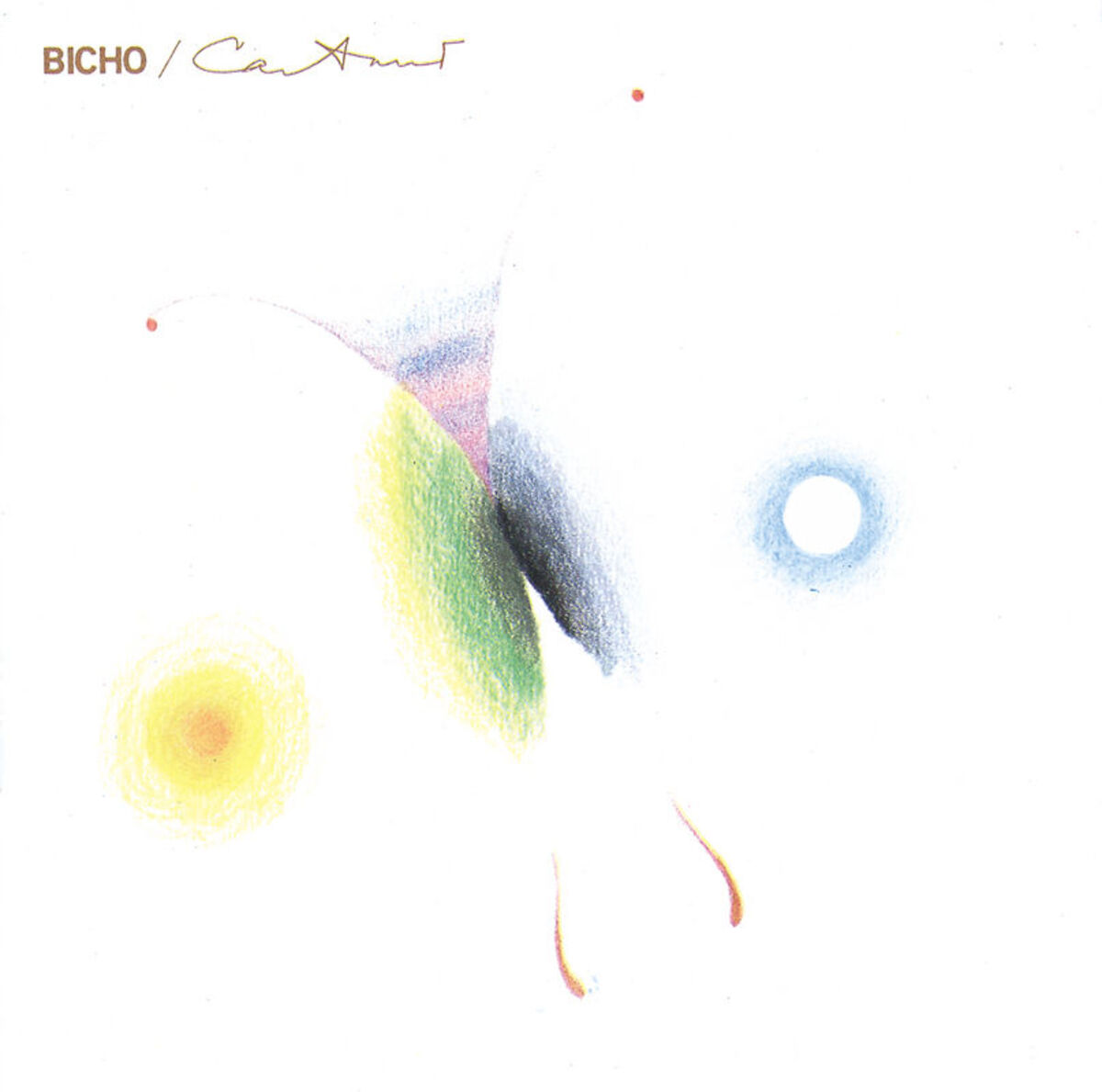 Album cover of Um Índio