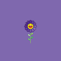 Cover of Morado