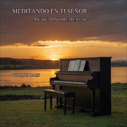 Cover of Meditando en tí Señor