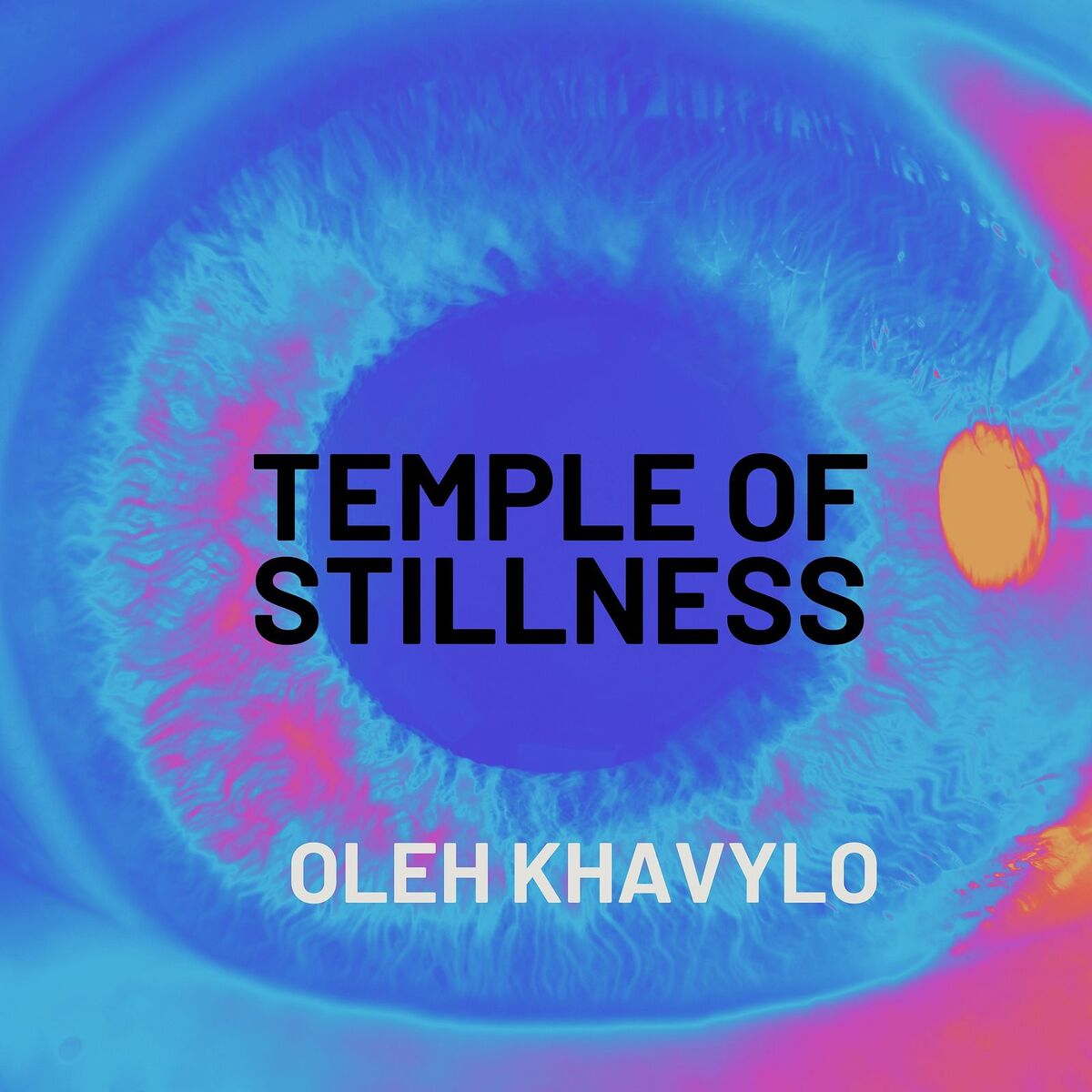 Album cover of Temple of Stillness