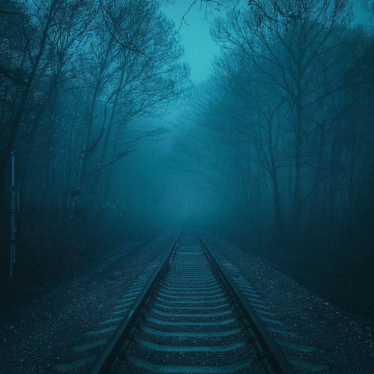 Album cover of forgotten railway