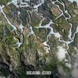 Cover of Ecstasy