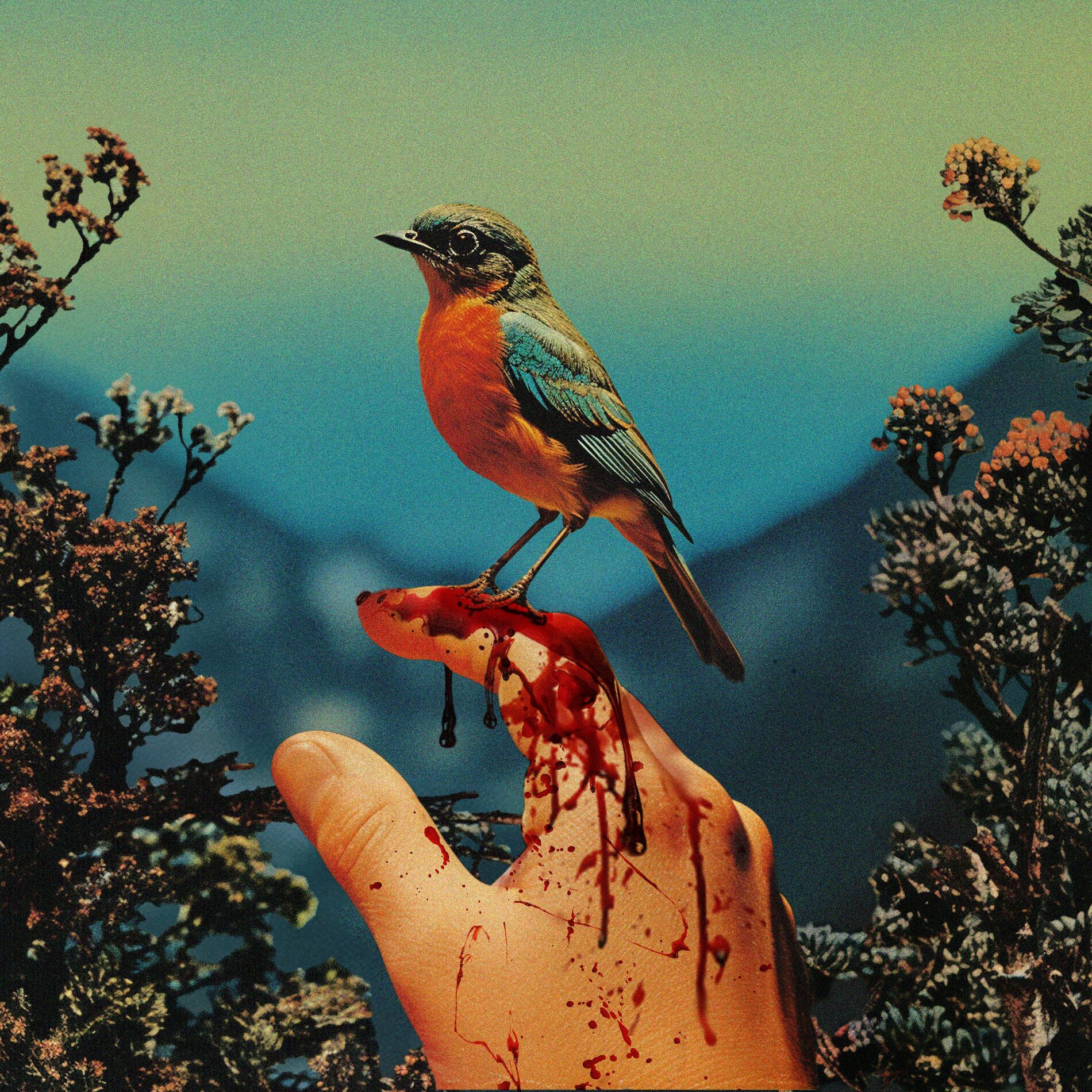 Album cover of Fragile Thing