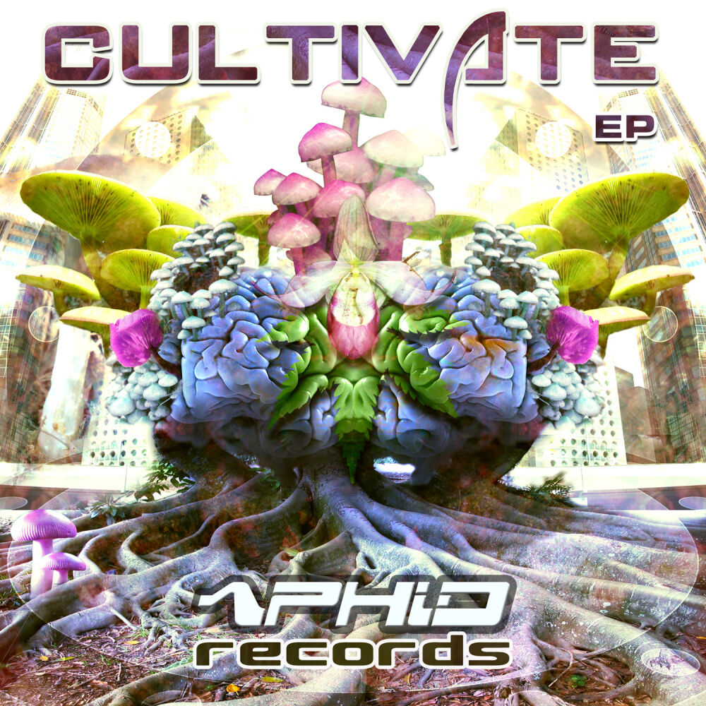 Picture of Cultivate EP