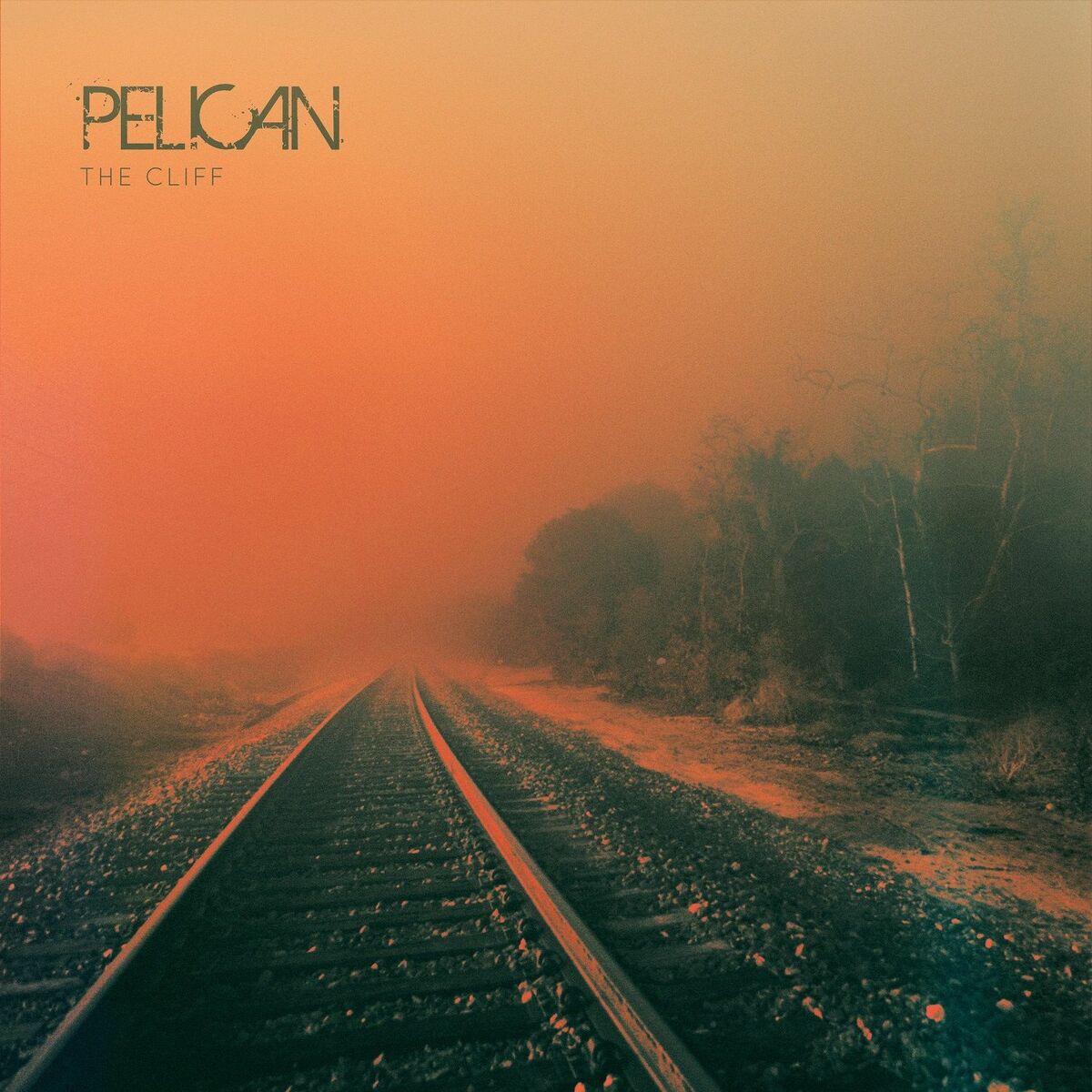 Album cover of The Cliff