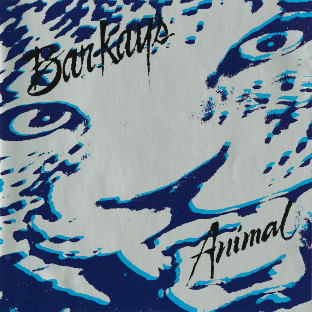 Picture of Animal