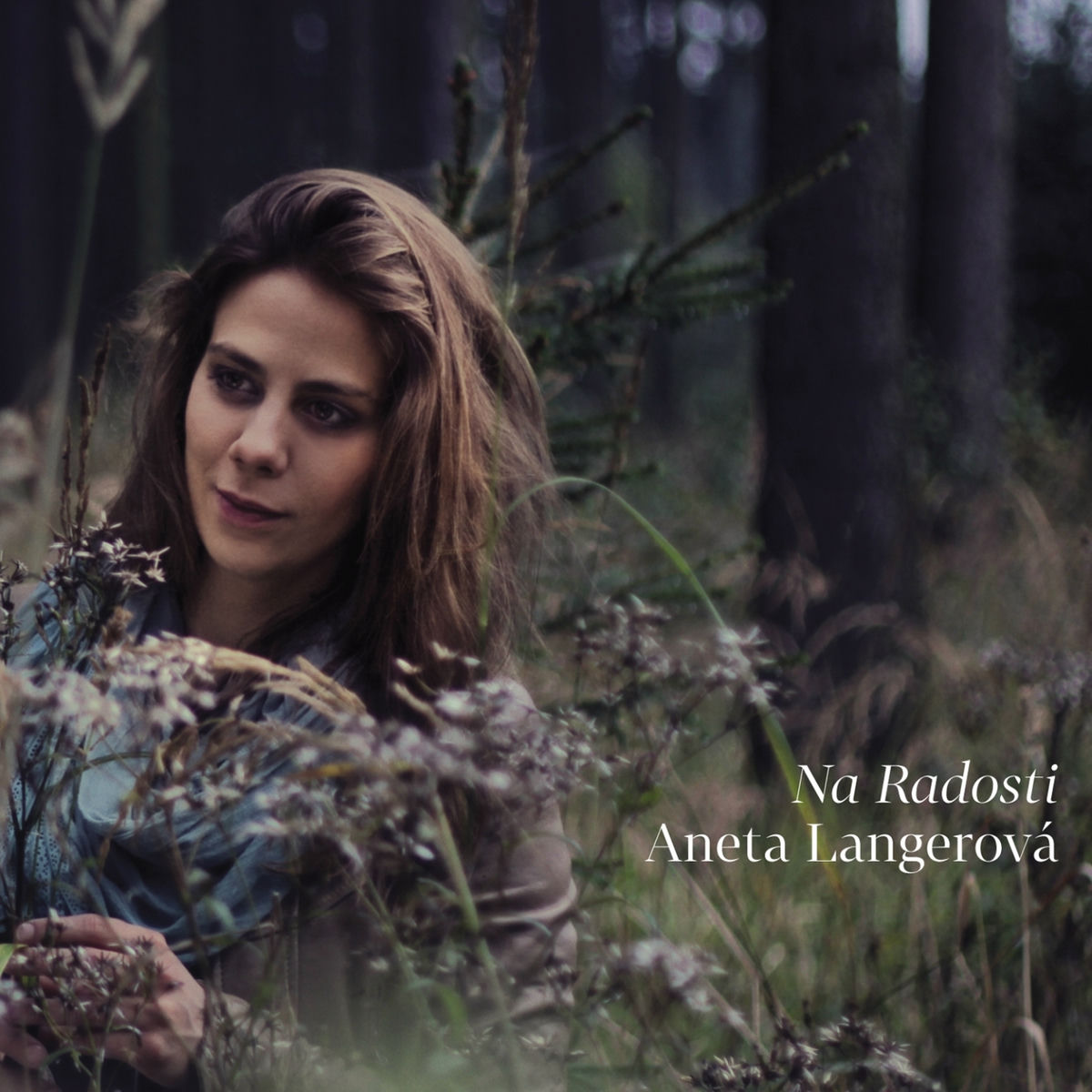 Album cover of Dívka