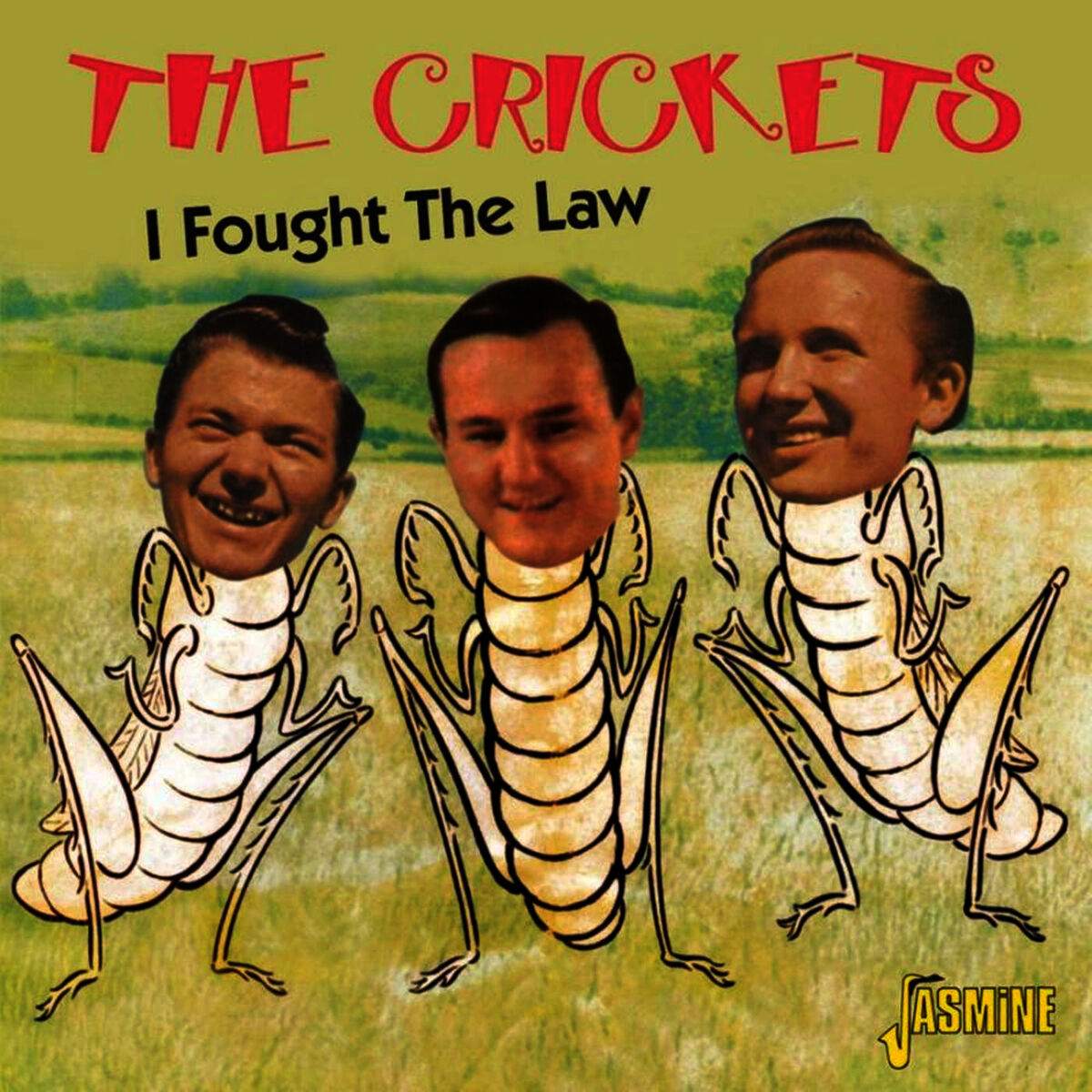 Album cover of I Fought the Law